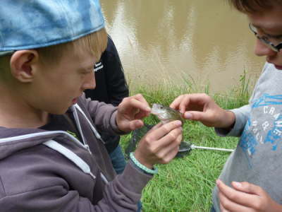 Jugendfischen am Erlensumpfweiher am 23.08.2014